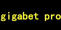 gigabet pro